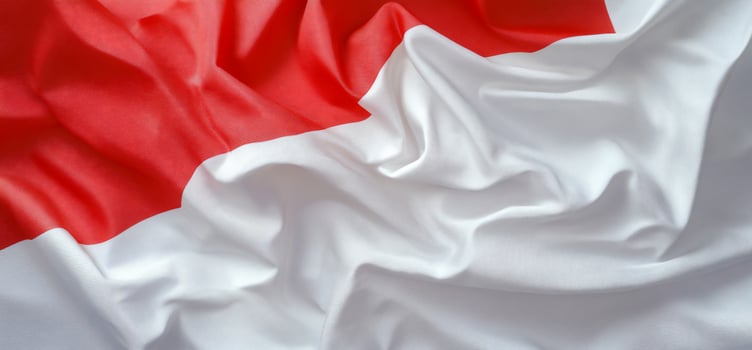The flag of indonesia is shown in this image photo