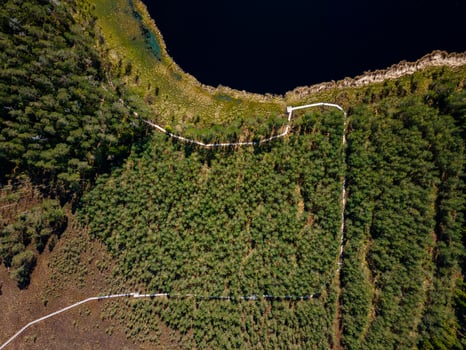 Aerial View of Forested Area with Curving White Path by Water photo