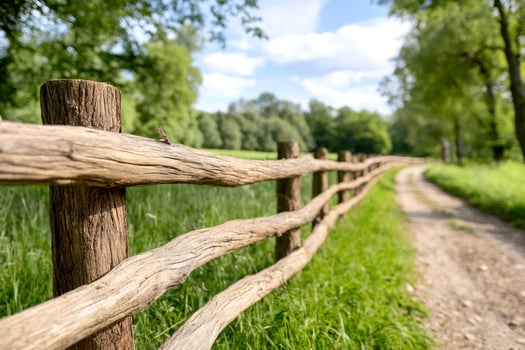 Old wooden fence separating path from green field in summer photo
