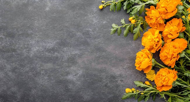 A vibrant arrangement of orange marigold flowers on a dark surface. photo