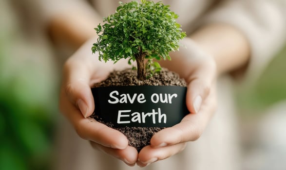 Hand gripping seedling in eco-friendly paper container, symbolizing green growth, environmental care, sustainability commitment photo