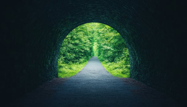 Solitary Illuminated Archway in a Lush Green Tunnel Background Copyspace Serene Nature Scene photo