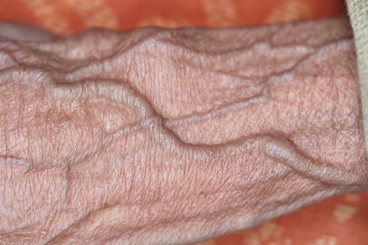 Capturing the intricate details of an elderly hand in natural light photo
