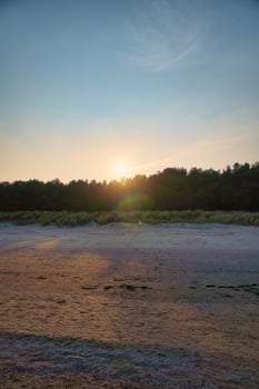 View of the dunes on the island of Usedom with forest, from the Baltic Sea photo
