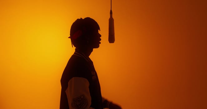 A silhouette of a man holding a baseball bat photo