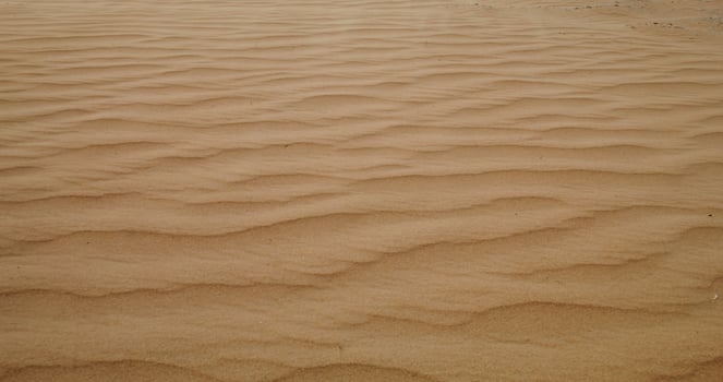 Top view of the sandy waves of the desert. The wind carries fine sandy dust. No people. Sand patterns. 4k , red komodo - carries photo