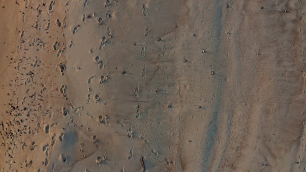 Footprints on wet sand on the seashore washed by foamy waves photo