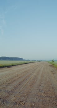Green field with a sky view photo