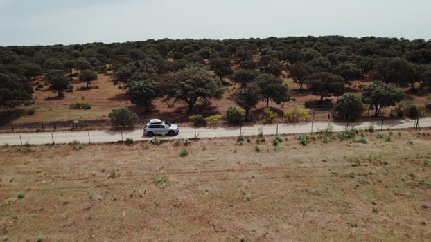 A car with a roof trunk is driving along a gravel road past a sparsely wooded savannah, drone view - sparsely photo