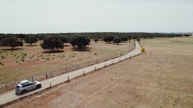 The car is driving along a gravel road in a savannah with green round trees among dry grass, a bird's-eye view from a drone photo