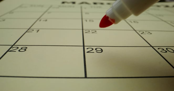 A red marker is pointing to the calendar photo