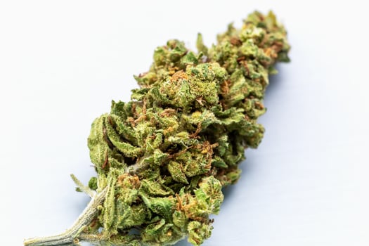 Close-up single cannabis flower bud with detailed texture and visible trichomes, isolated on clean white background for medical or herbal product concept. Single cannabis bud on white background photo