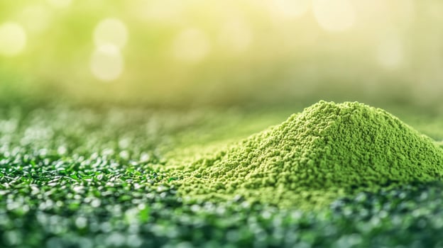 Green Matcha Powder photo