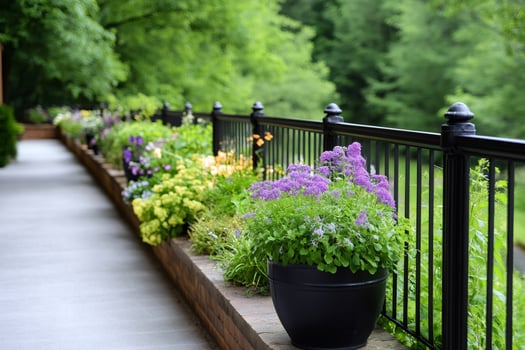 Purple flowers growing in a pot decorating a garden path photo