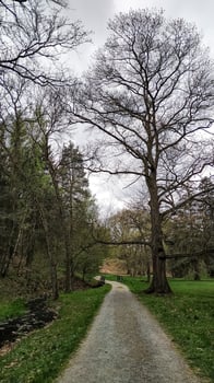 Gravel path winding through a serene park in spring, pruhonice, czechia photo