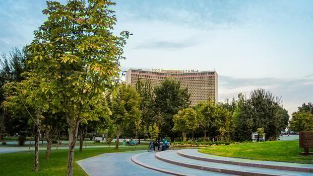 A park with a bench and a tree photo