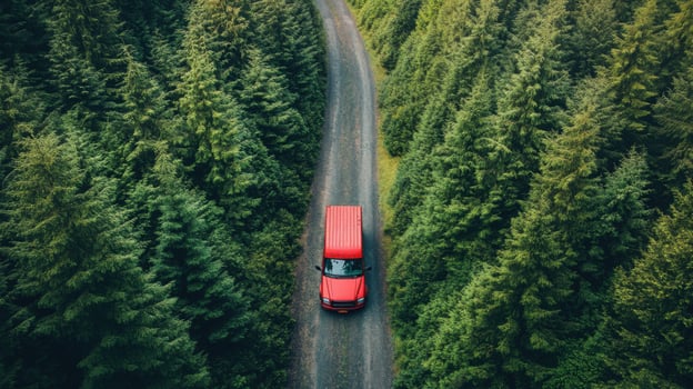Red car driving on a gravel road. Evergreen trees line the path. Aerial view of a forest and vehicle. Woodland drive. photo