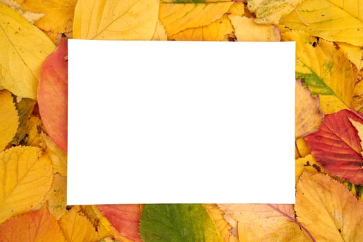 Horizontal white sheet lies on the background of yellow leaves photo