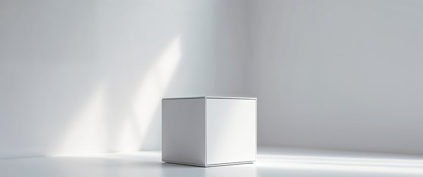 White box is standing in front of a wall photo