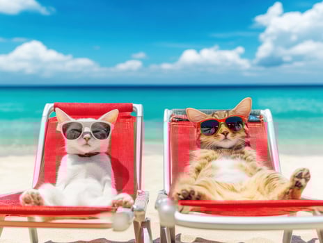 Cats enjoy a sunny beach day in stylish sunglasses photo
