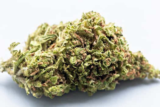 Detailed view of dried cannabis bud with trichomes on light background, perfect for medical, recreational and botanical content usage. Dry cannabis flower macro close-up photo