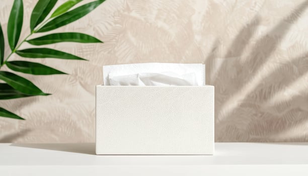 Elegant Soft White Tissue Box on a White Table with Background Copyspace for Home Decor photo