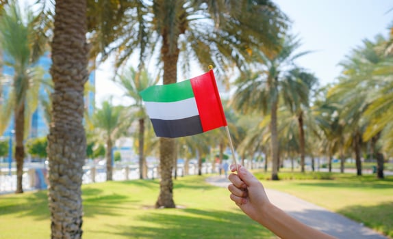 young female hand holding tiny flag of UAE photo