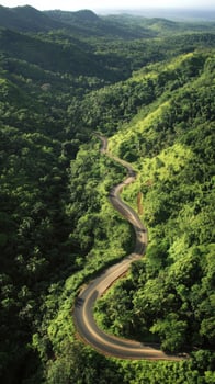 Serene Winding Road Through Lush Tropical Forest photo