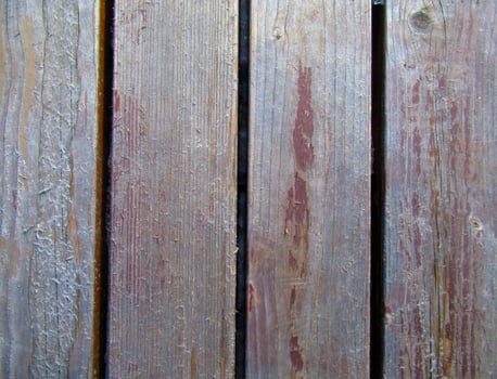 Wooden vertical boards. The structure of the wooden pattern photo