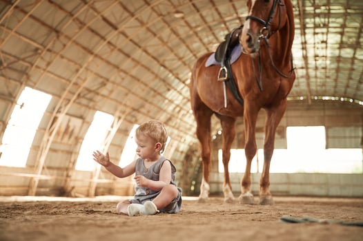 Little,, baby boy is sitting on the ground with horse indoors photo