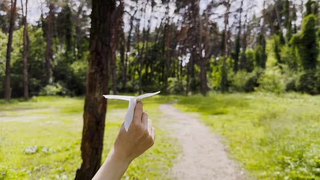 Female hand playing with paper airplane at summer forest. Girl walking with toy plane at woodland on sunny day. Young woman having fun at nature. Concept of leisure outdoor. Close u photo