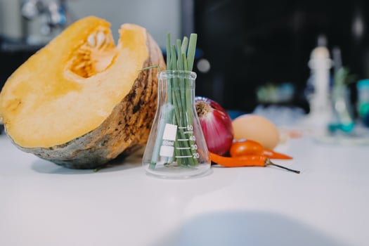 A glass vial with a pumpkin, onion, and other vegetables photo