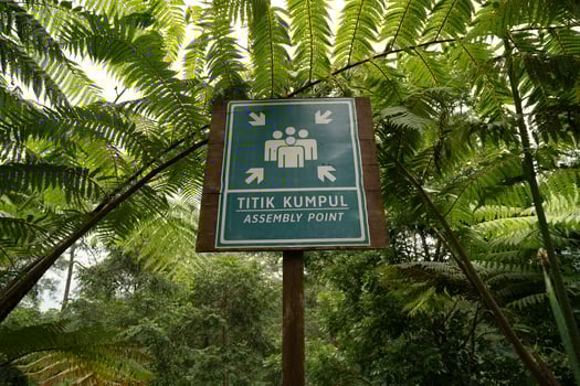 sign of assembly point in a lush forest, surrounded by vibrant greenery, for outdoor exploration and community in nature photo