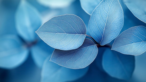 Delicate blue leaves with intricate veins, creating a tranquil and serene atmosphere in soft hues. photo