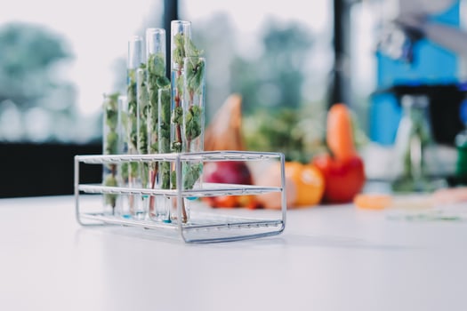 A table with test tubes filled with vegetables photo