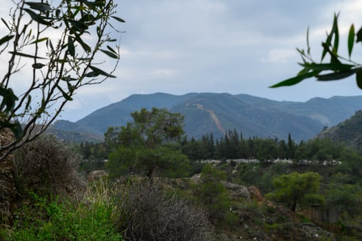 Mountain landscape with lush greenery and a cloudy sky creating a serene backdrop for nature lovers and explorers in a remote area photo