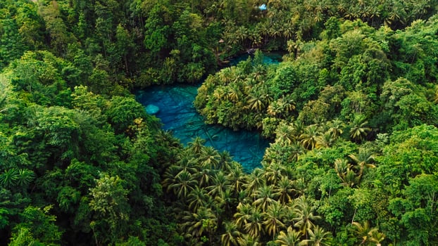 Amazing landscape with transparent crystal blue lake and jungle forest in Sulawesi, Indonesia. Drone view photo