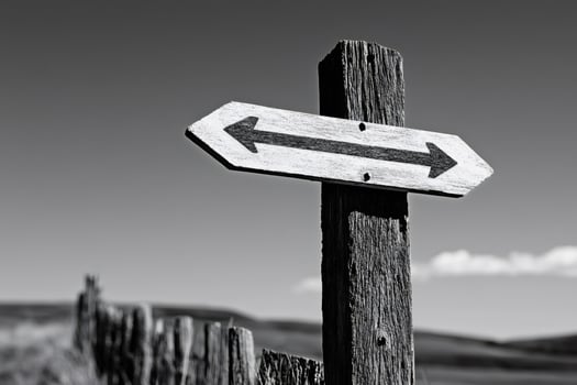 Double arrow sign pointing in opposite directions on wooden post photo