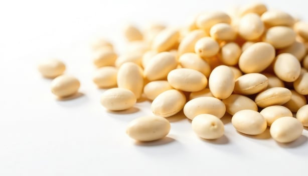 Soybeans are a good source of protein photo