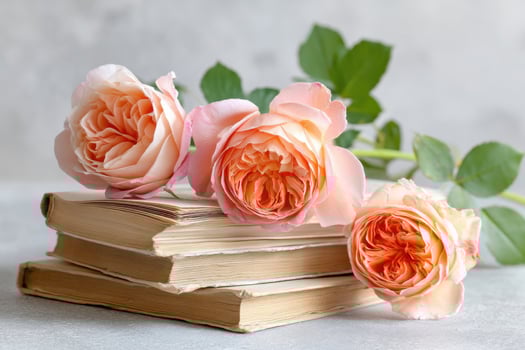 Peach roses decorating stack of antique books on gray background photo