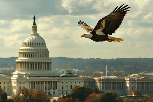An American Bald Eagle soaring high above Washington DC, with the city's iconic landmarks in the background, symbolizing freedom and strength photo