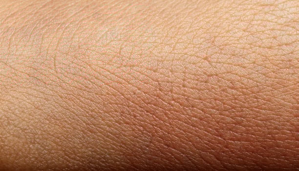 extreme close-up ultra-detailed macro texture of veiny human skin surface with fine lines and subtle vascular patterns for anatomy reference, dermatology and realistic 3d modeling photo