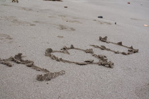 a bird sitting on a beach photo