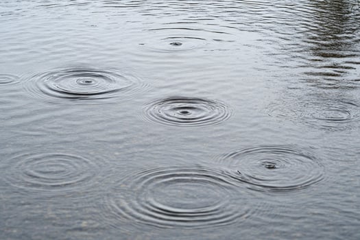 A bird flying over a puddle of water with circles photo