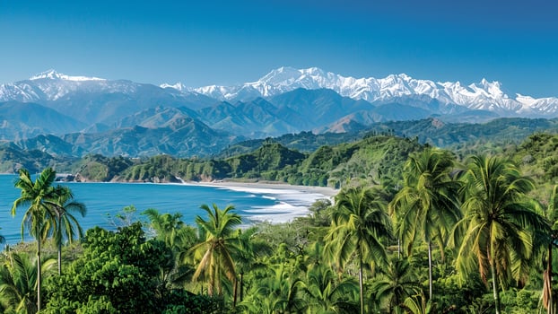 A beautiful beach and mountains with palm trees photo
