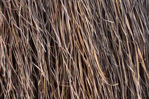 Detailed patterns of dry straw in sunlight creating a warm and rustic texture at a rural location photo