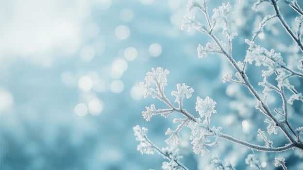 Icy blue fading into frosty white HD Background, Luxury hd wallpaper Image, Trendy Background illustration photo