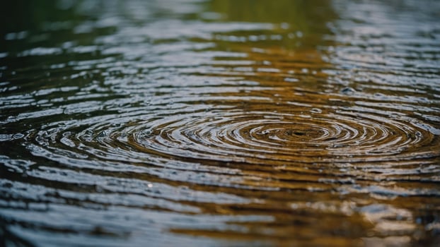 Close-up of ripples on water surface, reflecting natural light and colors. photo