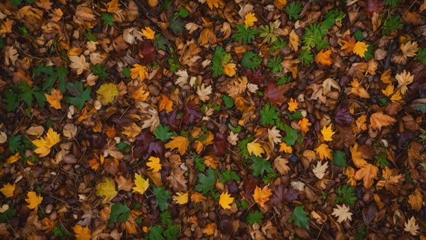A colorful mix of autumn leaves scattered on the ground, showcasing seasonal change. photo