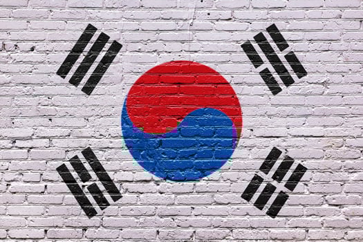 South Korea flag painted on a brick wall with a grunge texture and patriotic design photo